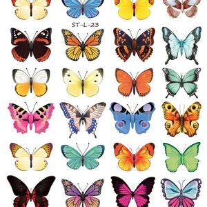 Meet your Posher, Rejon